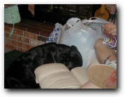 Ian's B-Day 2002 Pic